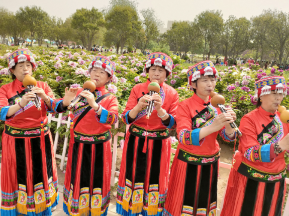  葫蘆絲奏響曹州牡丹園